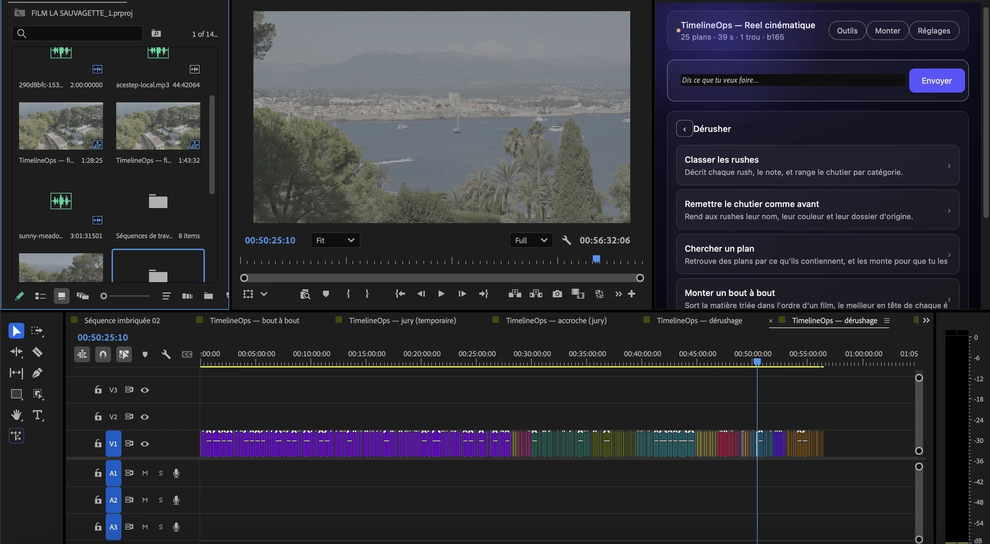 Premiere Pro avec le panneau Rushout.ai ouvert à droite : la séquence de dérushage, ses plans colorés par catégorie, et la famille d'outils Dérusher.